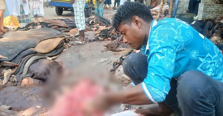 ‘৩০০ টাকায় গরুর চামড়া বিক্রি, ১০০ টাকাই গেলো ভাড়ায়’