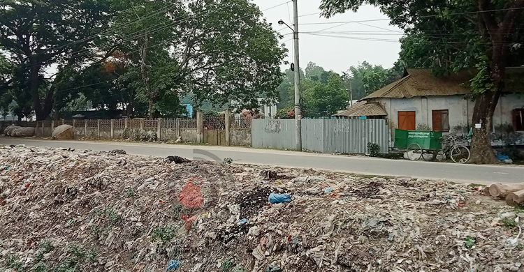 স্কুলের পাশে ময়লার ভাগাড়, স্বাস্থ্যঝুঁকিতে কোমলমতি শিক্ষার্থীরা