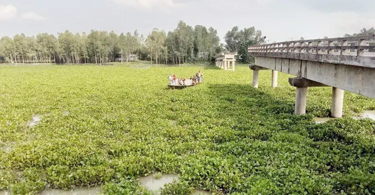 একটি ভাঙা সেতুতে থমকে আছে ২০ গ্রামের জীবন