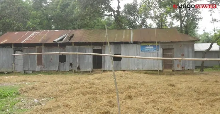 এ যেন ‘কাজির গরু কেতাবে আছে, গোয়ালে নেই’