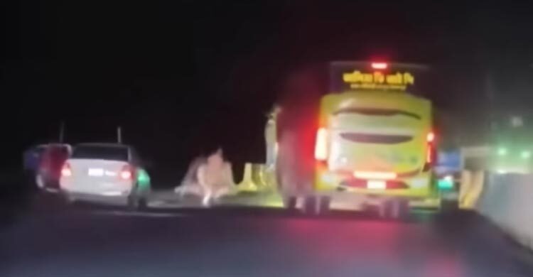 যমুনা সেতু পশ্চিম মহাসড়কে ডাকাতি, গ্রেফতার ২