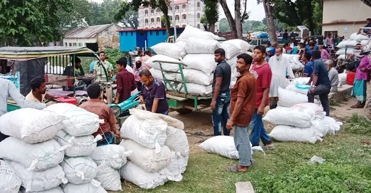 মুখীকচুর হাটে প্রতিদিন লাখ টাকার বেচাকেনা