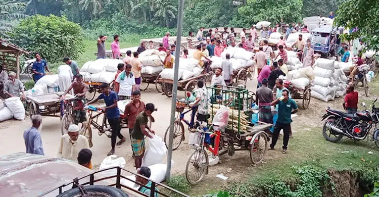 মুখীকচুর হাটে প্রতিদিন লাখ টাকার বেচাকেনা