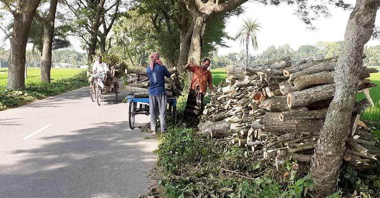 যশোর অঞ্চলের উষ্ণায়নে বৃক্ষনিধনসহ ৬ কারণ