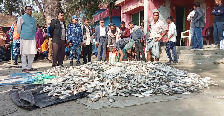 এতিমখানায় গেলো ৩ টন জাটকা