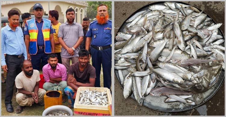 ৭ এতিমখানায় গেলো ২৮৬ কেজি জাটকা