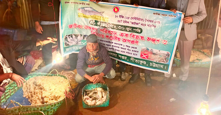 সীতাকুণ্ডে জাটকা বিক্রির অপরাধে ব্যবসায়ীকে জরিমানা