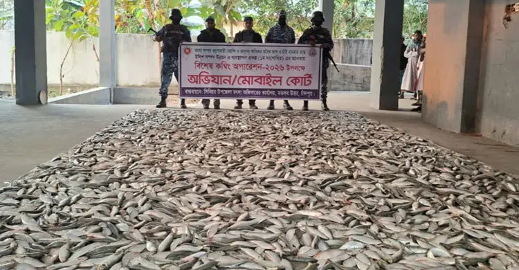 যাত্রীবাহী লঞ্চ থেকে জব্দ ৫০ মণ জাটকা এতিম-দুস্থদের মাঝে বিতরণ