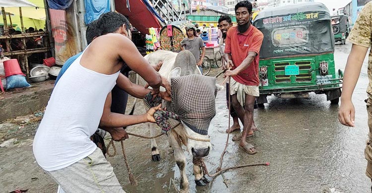 ক্রেতা-বিক্রেতাদের হাঁকডাকে মুখর শনির আখড়া হাট