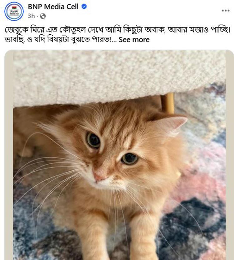 জেবুর বেড়ে ওঠার গল্প জানালেন জাইমা রহমান