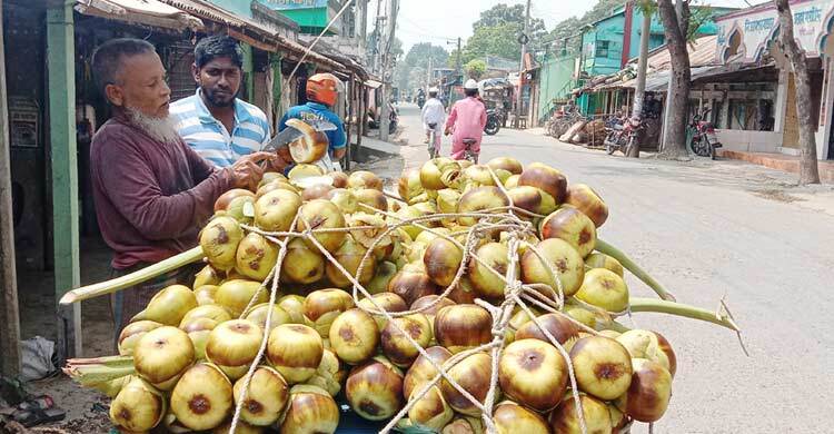 অসহনীয় গরমে বেড়েছে তালশাঁস বিক্রি