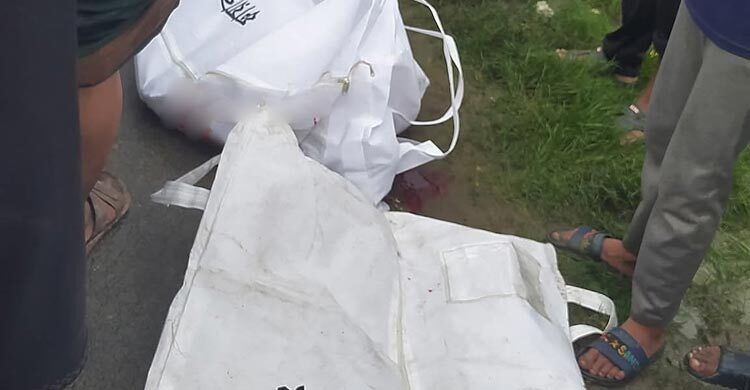 যশোরে বাসের ধাক্কায় দুজন নিহত, চালক আটক