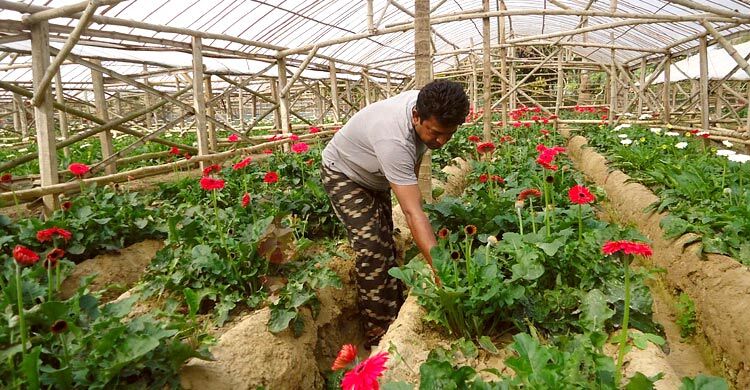 ৫ দিবস টার্গেট, শতকোটি টাকার ফুল বিক্রির আশা