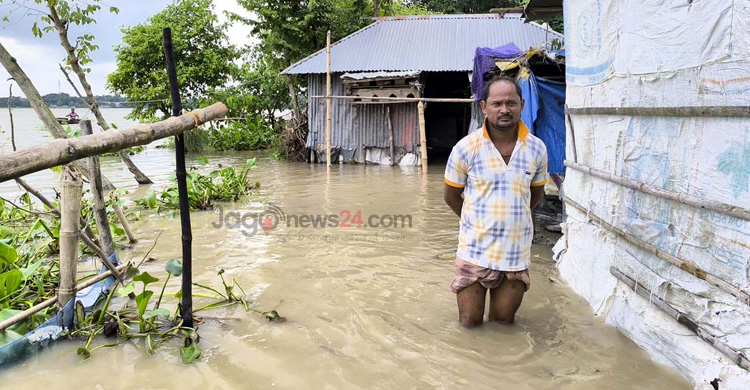 আতাই নদীর বাঁধ ভেঙে পানিবন্দি দুই শতাধিক পরিবার