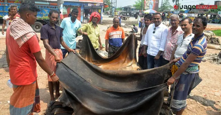 চার সংকটে দুশ্চিন্তায় রাজারহাটের চামড়া ব্যবসায়ীরা