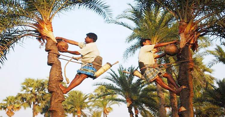 হারিয়ে যাচ্ছে যশোরের যশ খজুরের রস