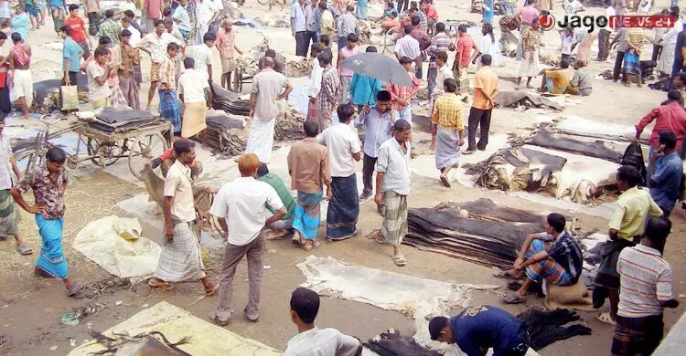 চার সংকটে দুশ্চিন্তায় রাজারহাটের চামড়া ব্যবসায়ীরা