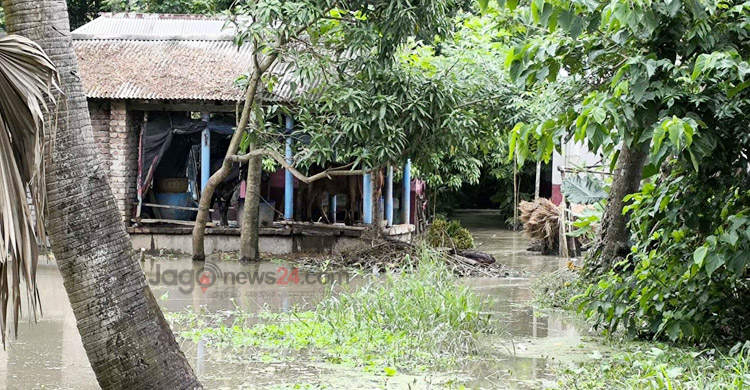 আতাই নদীর বাঁধ ভেঙে পানিবন্দি দুই শতাধিক পরিবার