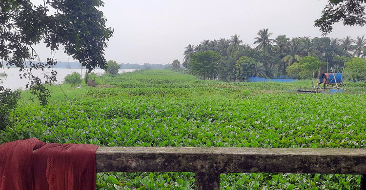 ভবদহের ‘দুঃখ’ ঘোচাতে ১৯০ কোটি টাকার প্রকল্প