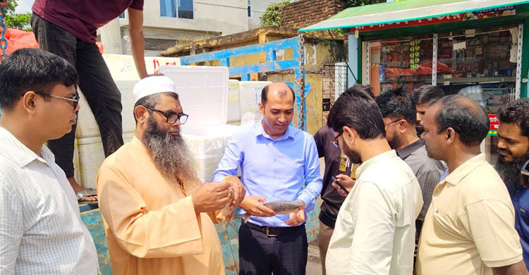 ১২০০ টন রপ্তানির অনুমতি, ভারতে গেলো মাত্র ১০৭ টন ইলিশ