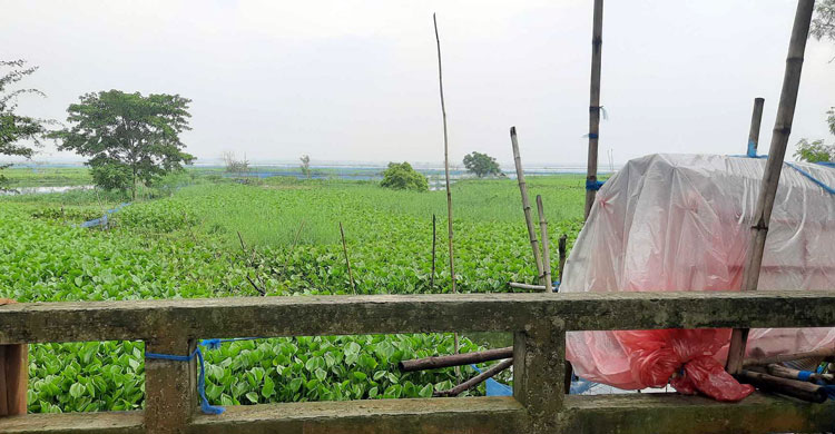 ভবদহের ‘দুঃখ’ ঘোচাতে ১৯০ কোটি টাকার প্রকল্প