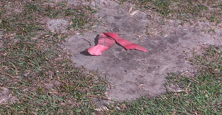 যশোরে তিন ভোটকেন্দ্রে ‌‘ককটেল’ বিস্ফোরণ