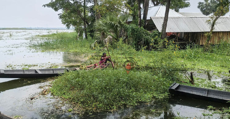 জলাবদ্ধতা-অভাব-আতঙ্ক, দুর্গাপূজার উৎসব নেই বাড়েধাপাড়ায়