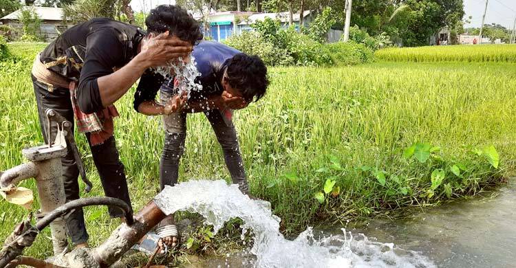 মাঝারি তাপপ্রবাহে বিপর্যস্ত যশোরের প্রাণ-প্রকৃতি