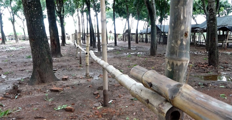 চৌগাছা পশু হাটের ইজারা নিয়ে নয়-ছয়
