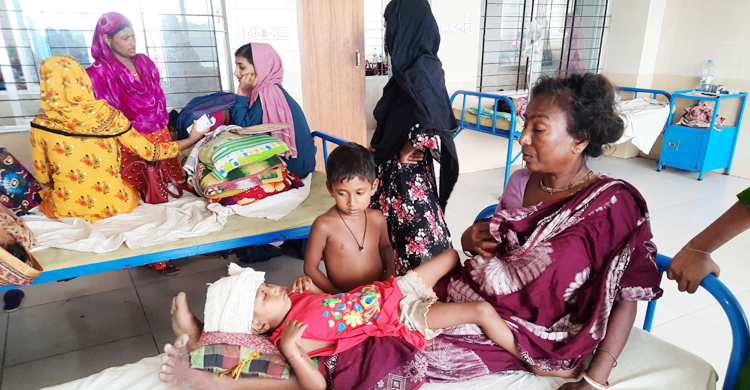 ঝিনাইদহে কুকুরের আক্রমণে শিশুসহ আহত ১৪