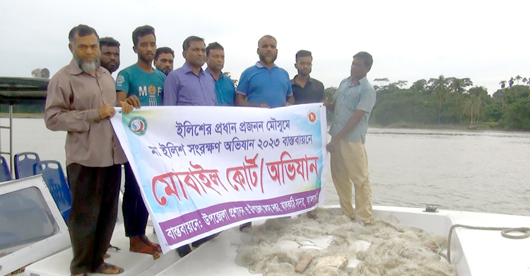 নৌকা নিয়ে পালালেন জেলেরা, এতিমখানায় গেলো ৮৬ কেজি ইলিশ