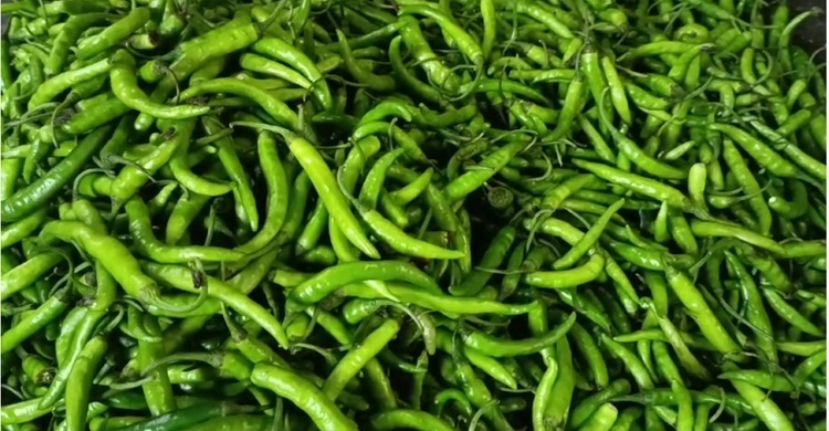 হিলিতে কাঁচামরিচের দাম কেজিতে কমলো ৬০ টাকা