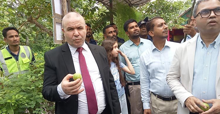 ঝালকাঠির পেয়ারা বাগান দেখে অভিভূত আলজেরিয়ার রাষ্ট্রদূত