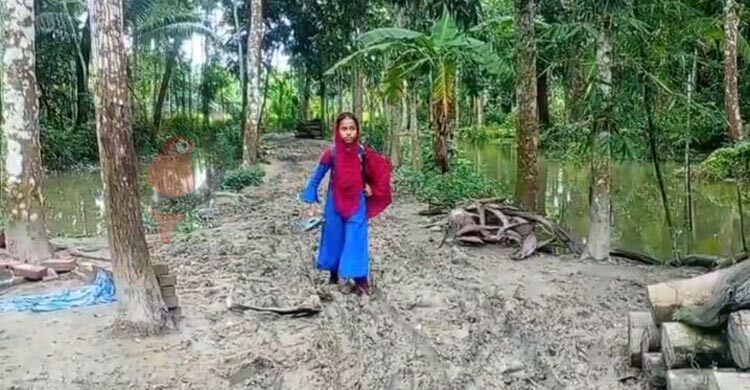 সড়কের অভাবে খাটিয়ায় করে রোগী বহন