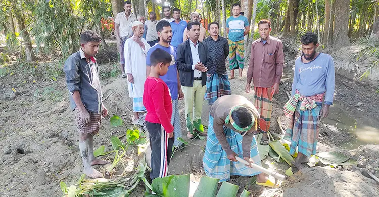 সংস্কারের দাবিতে সড়কে কচুগাছ লাগিয়ে প্রতিবাদ