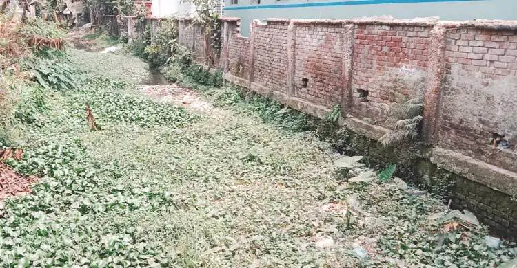 ঝালকাঠিতে খাল খননে দেড় কোটি টাকা ব্যয়েও কাটেনি জলাবদ্ধতা