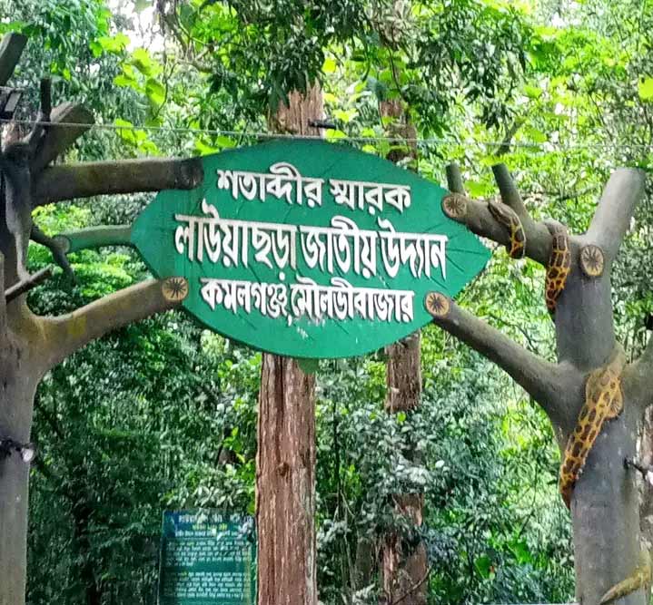 সিলেটের মনোমুগ্ধকর পরিবেশে ভ্রমণ