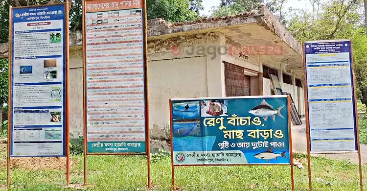 সংকট-অব্যস্থাপনায় ধুঁকছে সরকারি মৎস্য হ্যাচারি