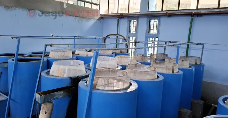 সংকট-অব্যস্থাপনায় ধুঁকছে সরকারি মৎস্য হ্যাচারি