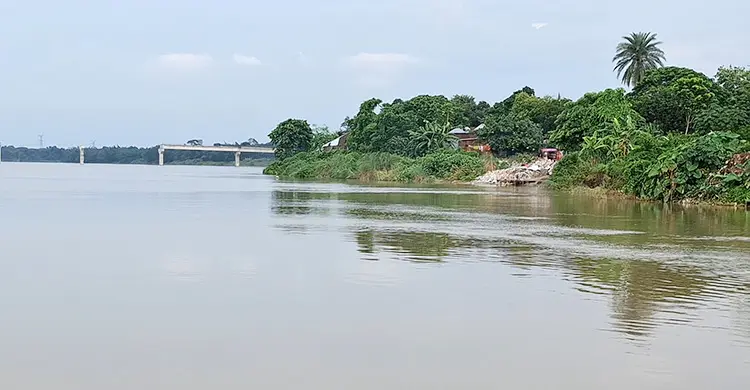 গড়াই নদীর ভাঙনে বিলীন ফসলি জমি, ঘরবাড়ি ভাঙনের আতঙ্ক বাসিন্দারা