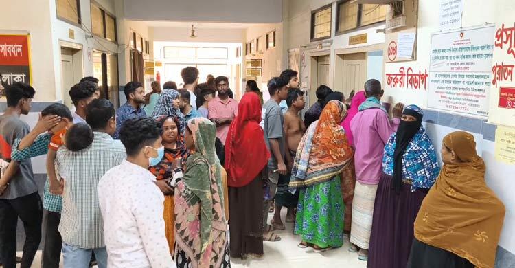 পেঁয়াজ তুলতে গিয়ে বজ্রপাতে দুই কৃষকের মৃত্যু