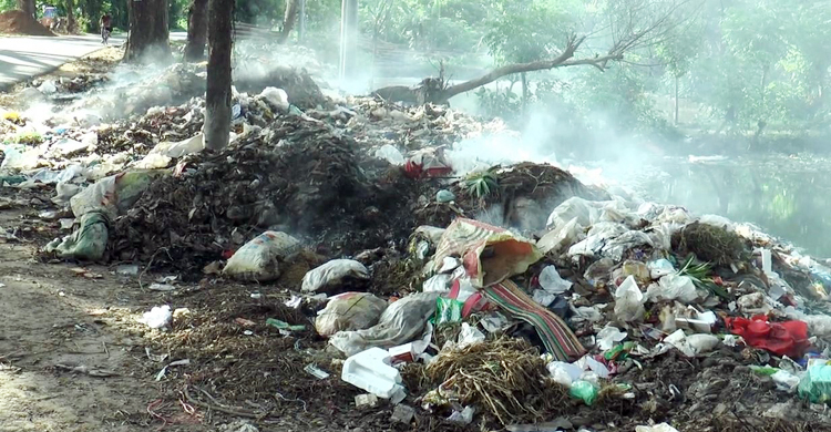 সড়কের পাশে ময়লার ভাগাড়, চরম দুর্ভোগে স্থানীয়রা