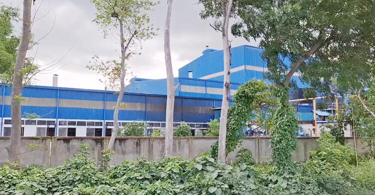 সিরামিক কারখানার ধোঁয়ায় নষ্ট হচ্ছে ফসল-গাছপালা