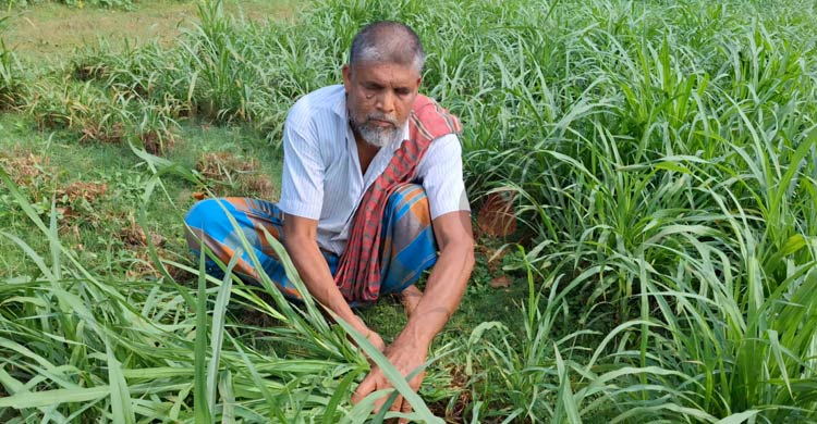 দৃষ্টিপ্রতিবন্ধী আরশাদ আলীর বিস্ময়কর জীবনযাপন