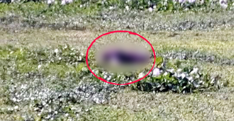 মহেশপুর সীমান্তে নদীতে ভাসছিল মরদেহ, নিয়ে গেলো ভারতীয় পুলিশ