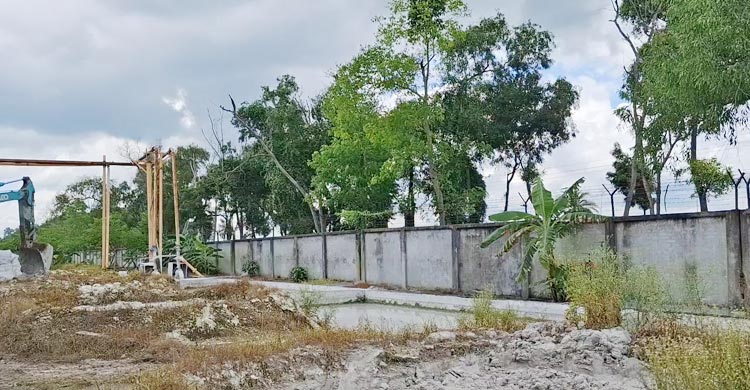 সিরামিক কারখানার ধোঁয়ায় নষ্ট হচ্ছে ফসল-গাছপালা