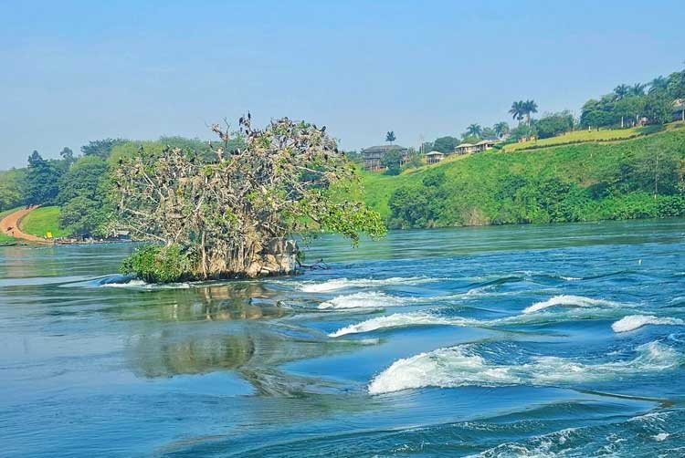 জিঞ্জা শহর: নীল নদের উৎসের সন্ধান