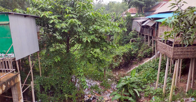 দখল-দূষণে অস্তিত্ব সংকটে বানিয়াজুরি খাল