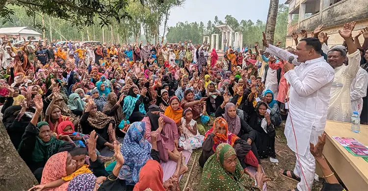 হাড্ডাহাড্ডি লড়াইয়ের আভাস বিএনপি-জামায়াতের