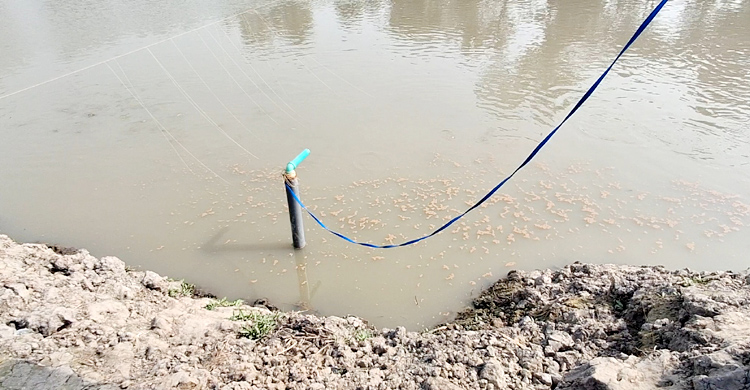 অবৈধ বিদ্যুৎ সংযোগ দেওয়ার অভিযোগ প্রধান শিক্ষকের বিরুদ্ধে